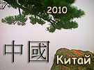  2010