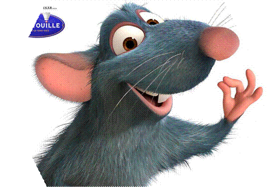 1193662342_ratatouille-17.jpg