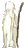 оглавление