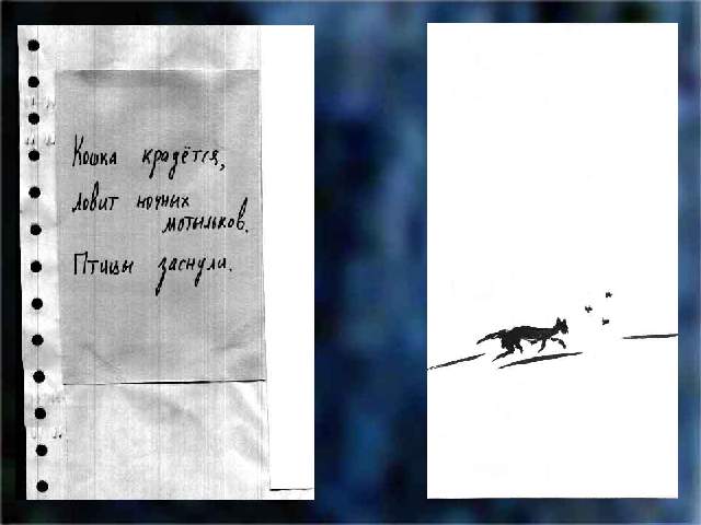 Кошка крадётся, ловит ночных мотыльков. Птицы заснули.