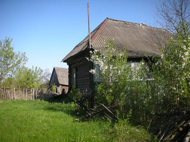 http://burdonov.ru/lipovka/photo/2008/may/images/0446.jpg