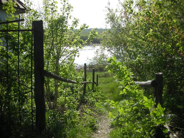 http://burdonov.ru/lipovka/photo/2008/may/images/0458.jpg