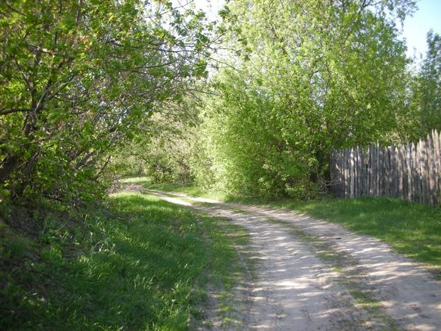 http://burdonov.ru/lipovka/photo/2008/may/images/0459.jpg