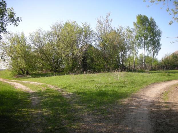 http://burdonov.ru/lipovka/photo/2008/may/images/0465.jpg