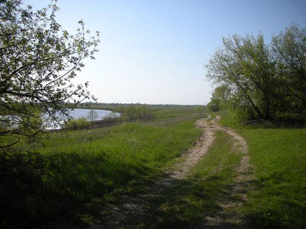 http://burdonov.ru/lipovka/photo/2008/may/images/0466.jpg