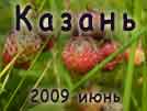  2009 